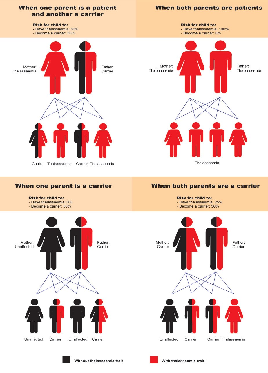 Thalassemia Education