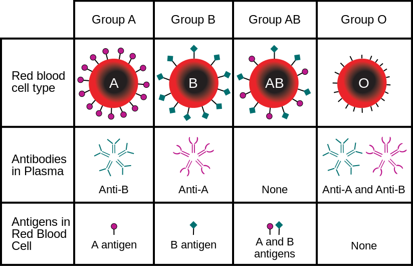 blood type